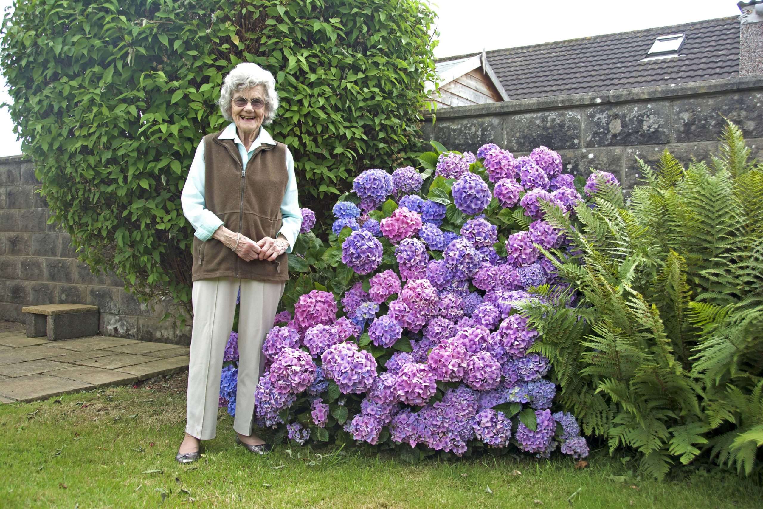 Professor Barbara M.Q. Weaver