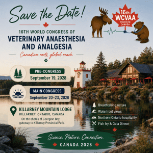 VAA world congress 2028